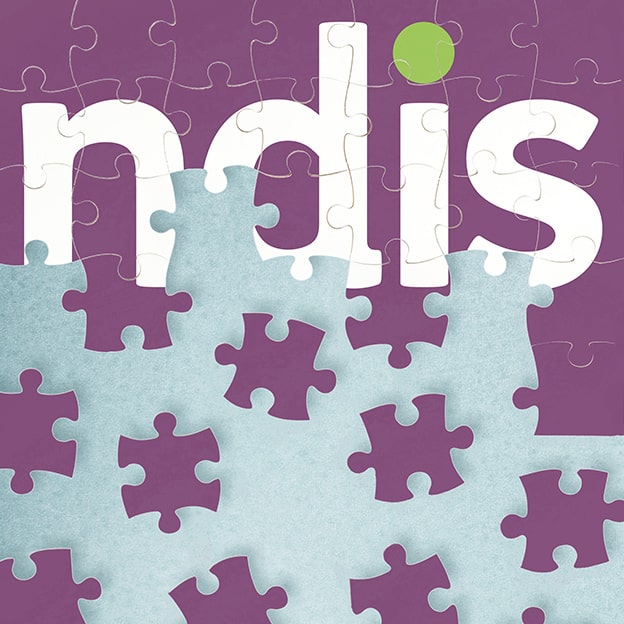 NDIS puzzle