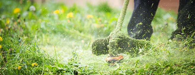 ndis community whipper snipper